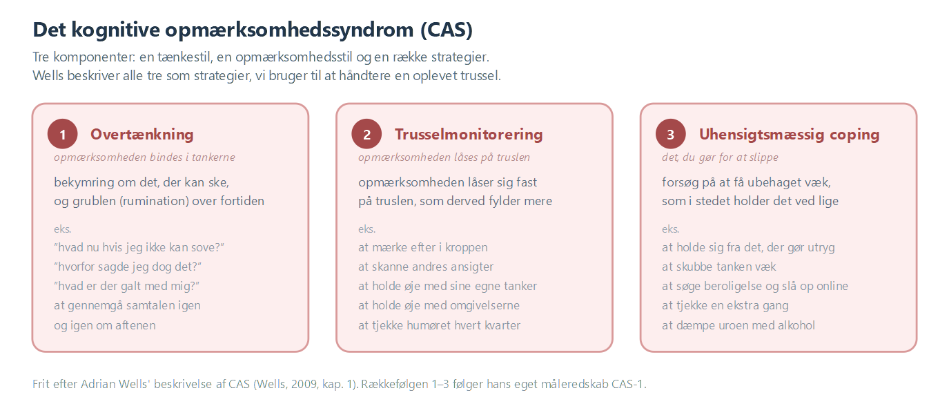 CAS' tre komponenter